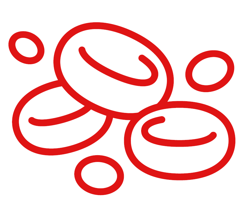 RED BLOOD CELL PRODUCTION SUPPORT