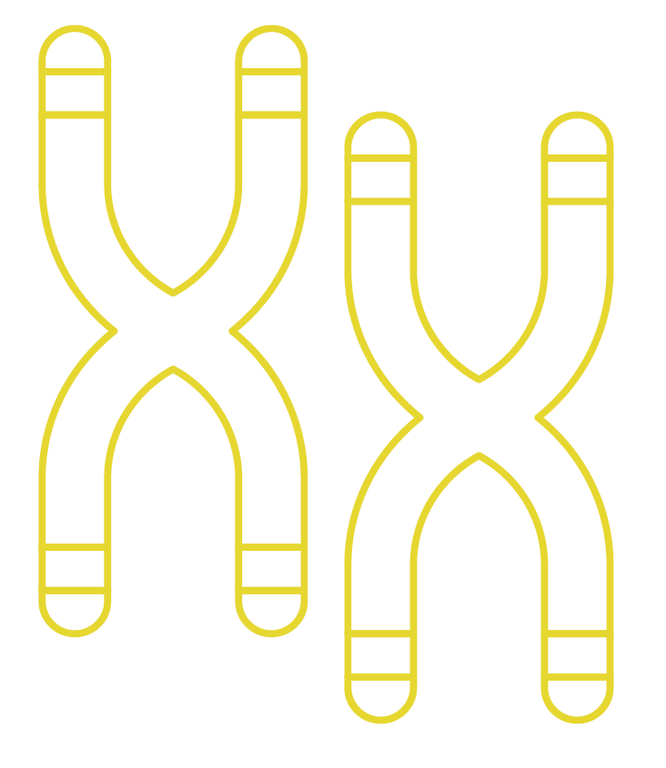 TELOMERASE ACTIVITY SUPPORT
